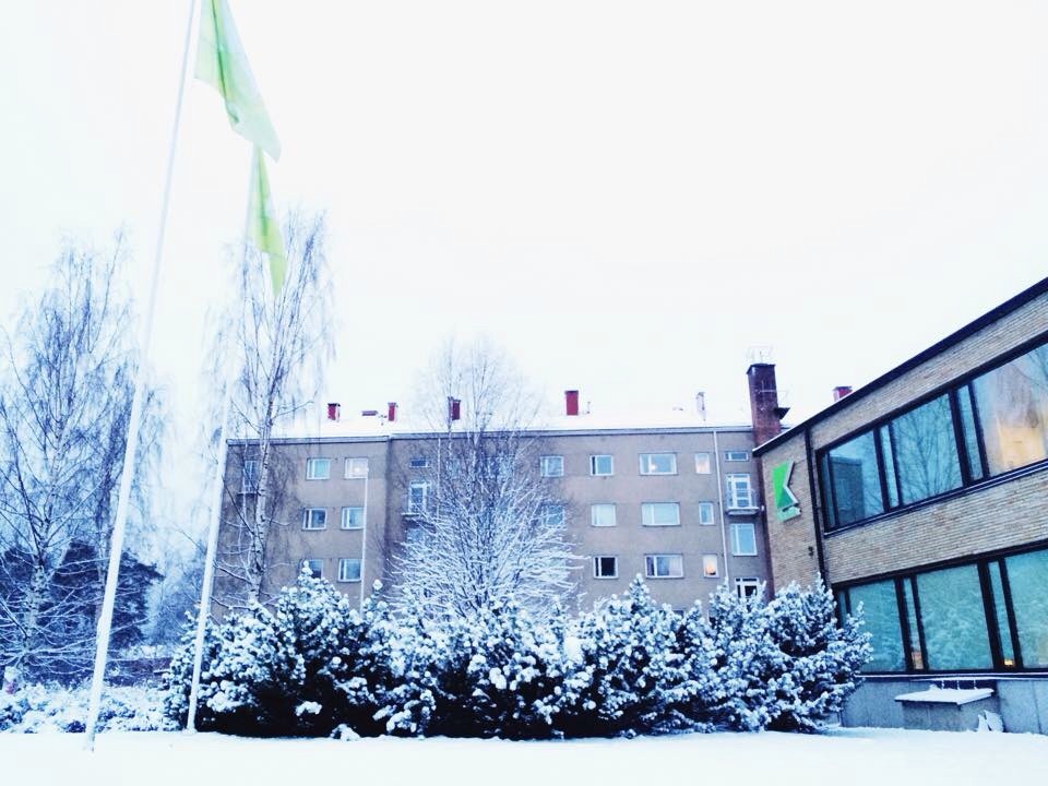Университет Карелия (Финляндия)