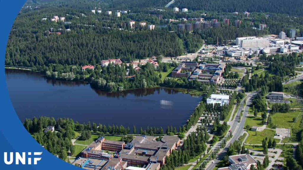 Обучение в университете Восточной Финляндии