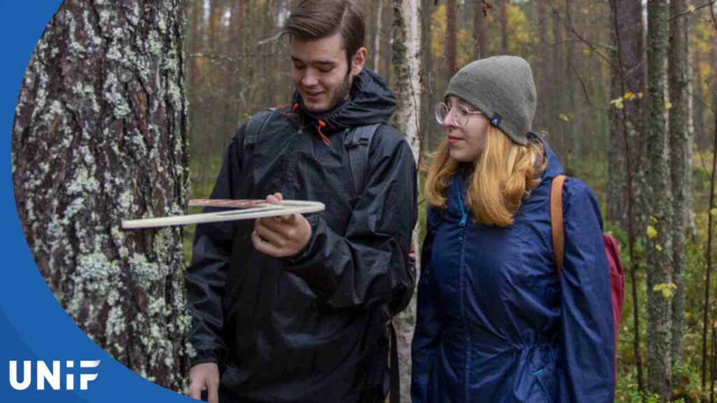 Магистерская программа Лесоводство в университете Восточной Финляндии