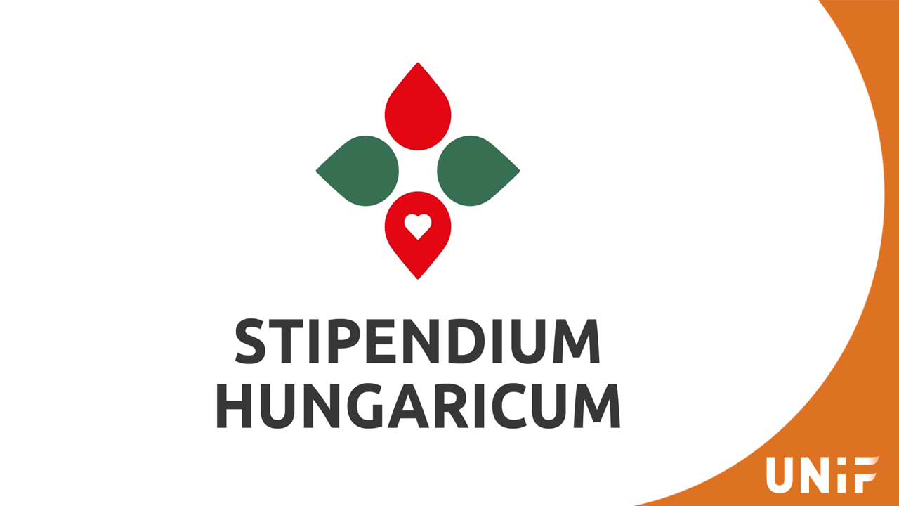 Что такое Stipendium Hungaricum: возможности для иностранных студентов
