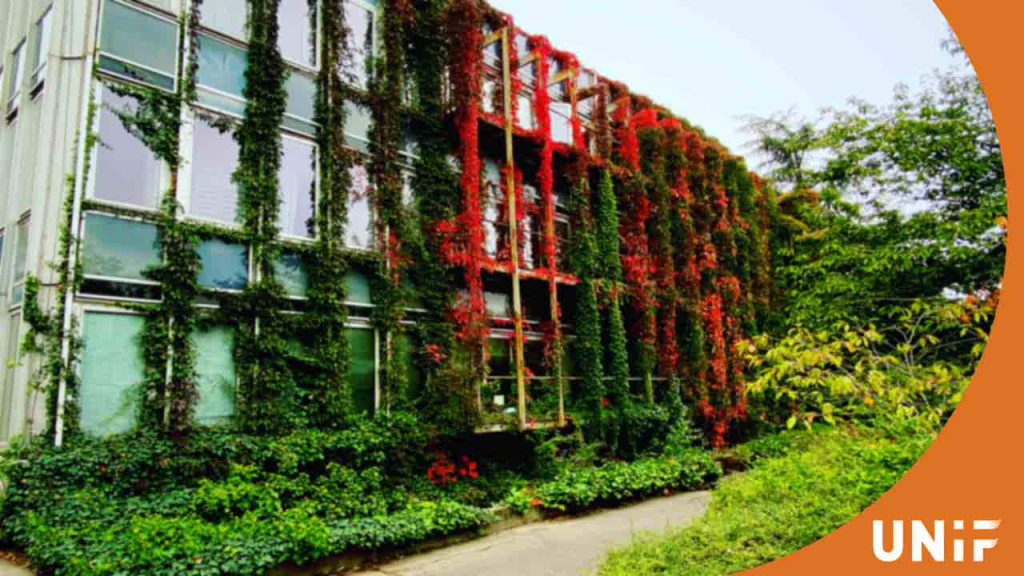 Садоводческая инженерия в Венгрии