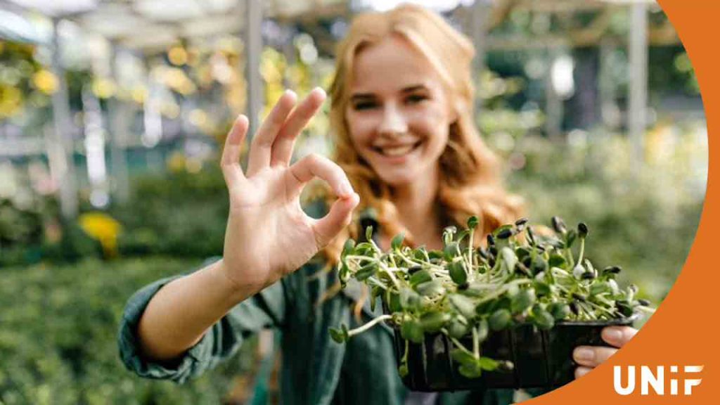 Садоводческая инженерия в Венгрии