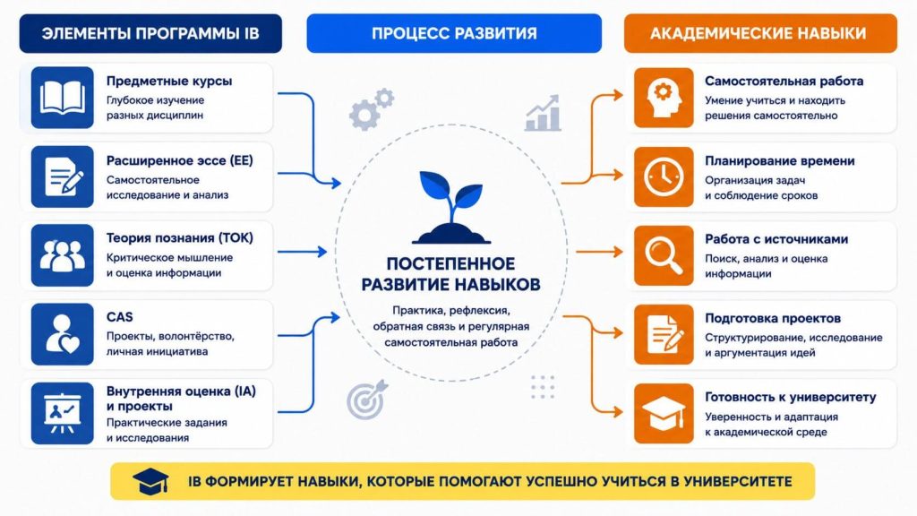Академические навыки, которые формирует программа IB